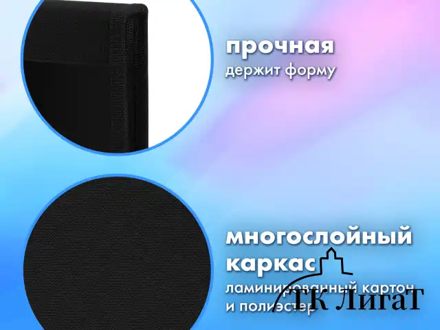 Папка на молнии BRAUBERG А4 с ручкой, с органайзером, 1 отделение, "Savage lion", 272218