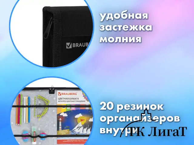 Папка на молнии BRAUBERG А4 с ручкой, с органайзером, 1 отделение, "Savage lion", 272218