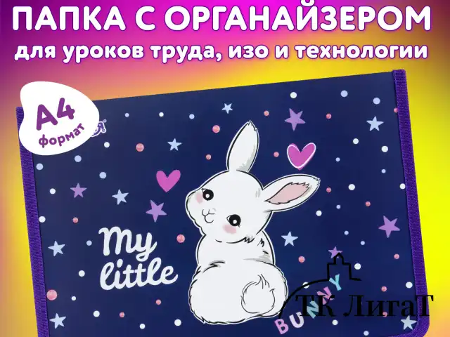 Папка для труда на молнии ЮНЛАНДИЯ А4, 1 отделение, откидная планка, органайзер, "Fluffy tail", 272220