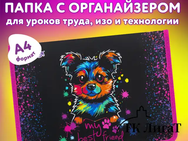 Папка для труда на молнии ЮНЛАНДИЯ А4, 1 отделение, откидная планка, органайзер, "True friend", 272221
