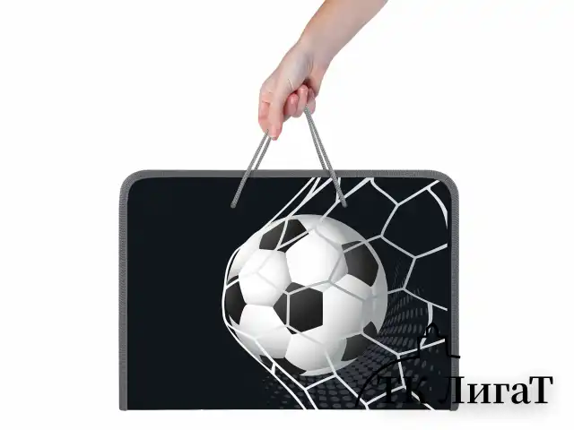 Папка для труда на молнии с ручками ПИФАГОР А4, 1 отделение, пластик, органайзер, "Ball kick", 272229