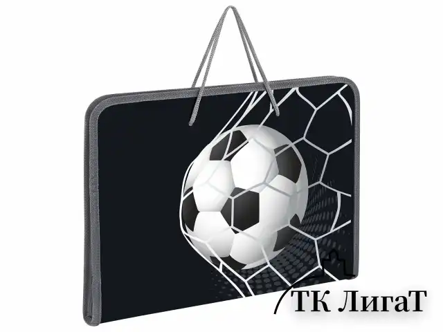 Папка для труда на молнии с ручками ПИФАГОР А4, 1 отделение, пластик, органайзер, "Ball kick", 272229