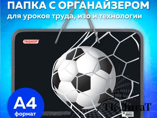 Папка для труда на молнии с ручками ПИФАГОР А4, 1 отделение, пластик, органайзер, "Ball kick", 272229