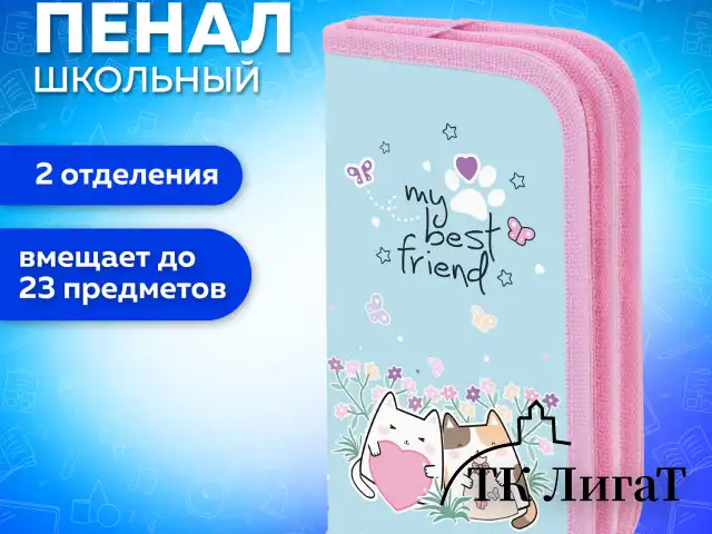 Пенал ПИФАГОР, 2 отделения, ламинированный картон, 19х11 см, "Cat friends", 272247
