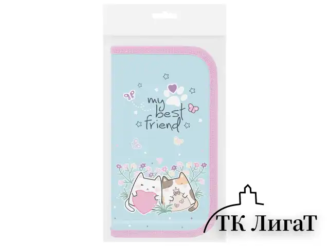 Пенал ПИФАГОР, 2 отделения, ламинированный картон, 19х11 см, "Cat friends", 272247