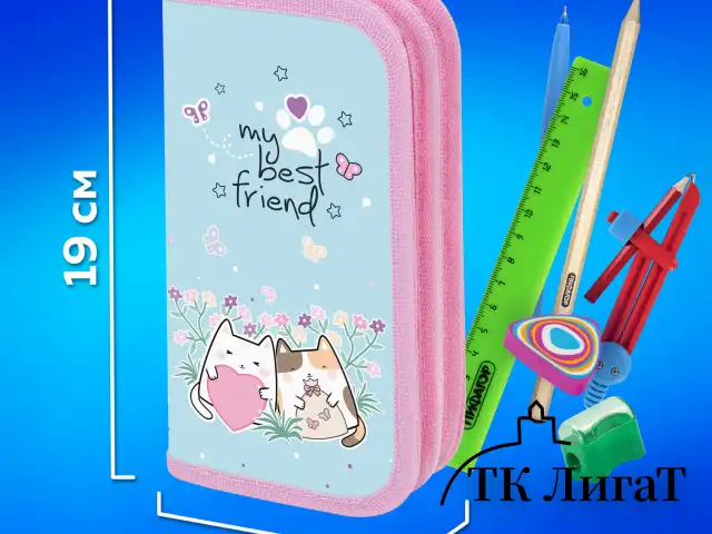Пенал ПИФАГОР, 2 отделения, ламинированный картон, 19х11 см, "Cat friends", 272247