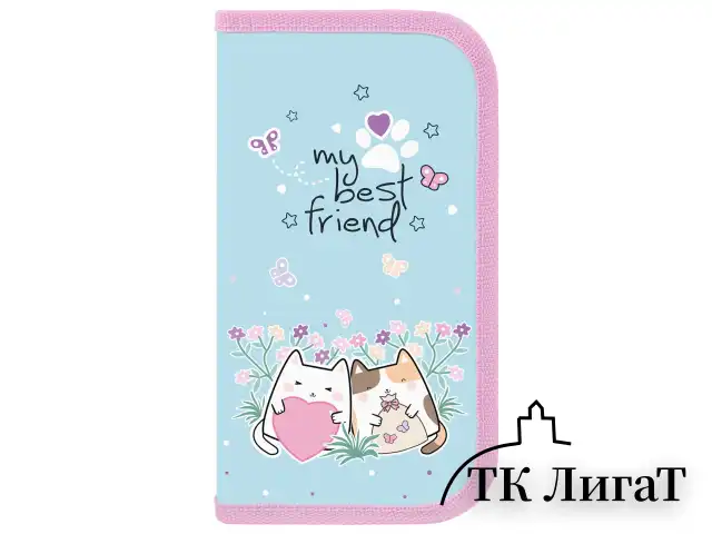Пенал ПИФАГОР, 2 отделения, ламинированный картон, 19х11 см, "Cat friends", 272247