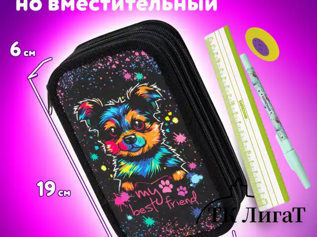 Пенал ЮНЛАНДИЯ, 3 отделения, картон с эффектом soft-touch, 19х11 см, "True friend", 272266