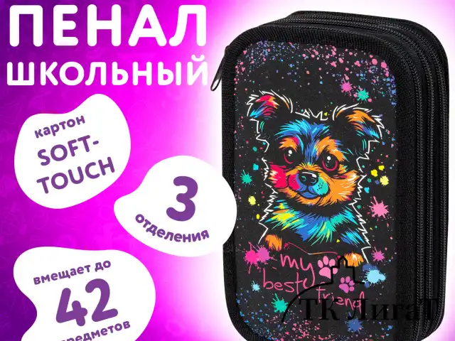 Пенал ЮНЛАНДИЯ, 3 отделения, картон с эффектом soft-touch, 19х11 см, "True friend", 272266