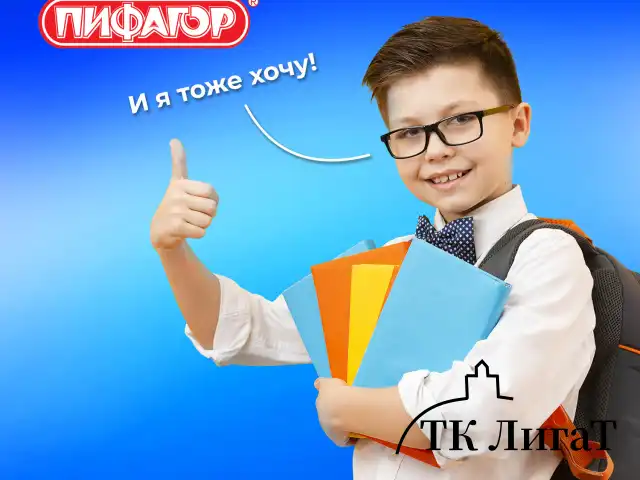 Пенал ПИФАГОР, 1 отделение, 2 откидные планки, полиэстер, 20х14 см, "Dino roar", 272290