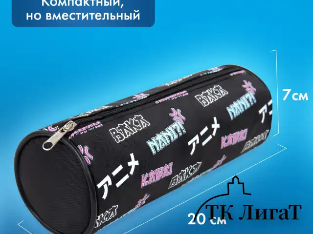 Пенал-косметичка BRAUBERG, Anime, черный, 20х7х7 см, 272295