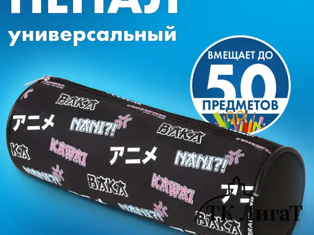 Пенал-косметичка BRAUBERG, Anime, черный, 20х7х7 см, 272295