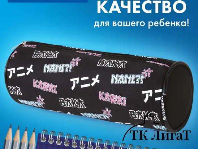 Пенал-косметичка BRAUBERG, Anime, черный, 20х7х7 см, 272295