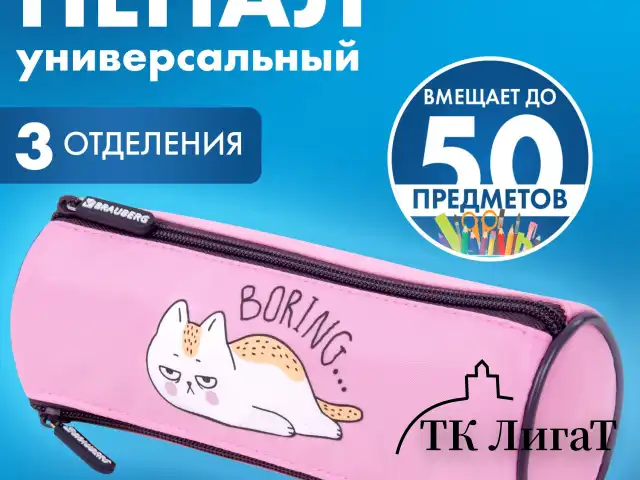Пенал BRAUBERG, 3 отделения, нейлон, 21х7х7 см, "Lazy cat", 272306