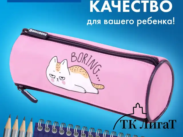Пенал BRAUBERG, 3 отделения, нейлон, 21х7х7 см, "Lazy cat", 272306