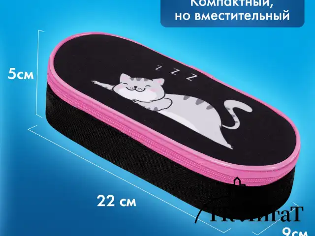 Пенал-футляр BRAUBERG, 1 отделение, органайзер, полиэстер, 22x9х5 см, "Don