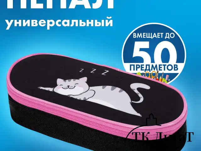 Пенал-футляр BRAUBERG, 1 отделение, органайзер, полиэстер, 22x9х5 см, "Don