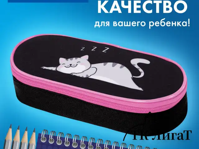 Пенал-футляр BRAUBERG, 1 отделение, органайзер, полиэстер, 22x9х5 см, "Don
