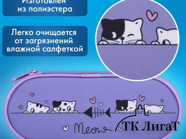 Пенал-футляр BRAUBERG, 1 отделение, органайзер, полиэстер, 22x9х5 см, "Meow", 272312