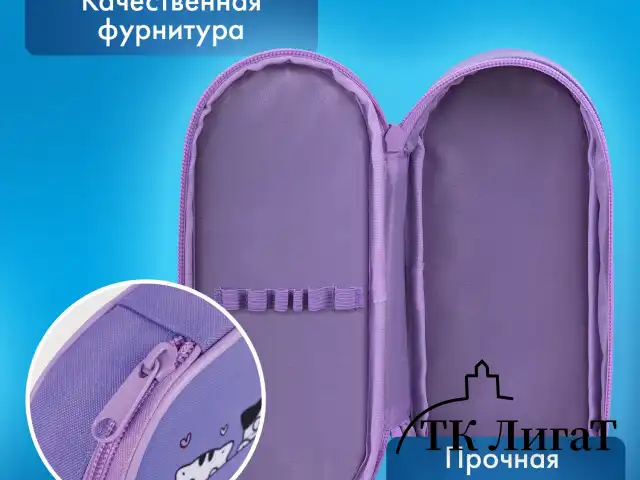Пенал-футляр BRAUBERG, 1 отделение, органайзер, полиэстер, 22x9х5 см, "Meow", 272312