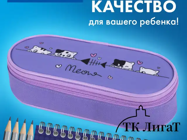 Пенал-футляр BRAUBERG, 1 отделение, органайзер, полиэстер, 22x9х5 см, "Meow", 272312