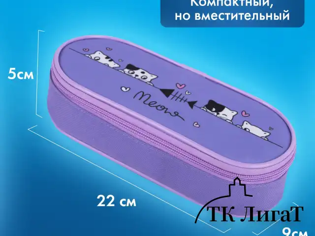 Пенал-футляр BRAUBERG, 1 отделение, органайзер, полиэстер, 22x9х5 см, "Meow", 272312