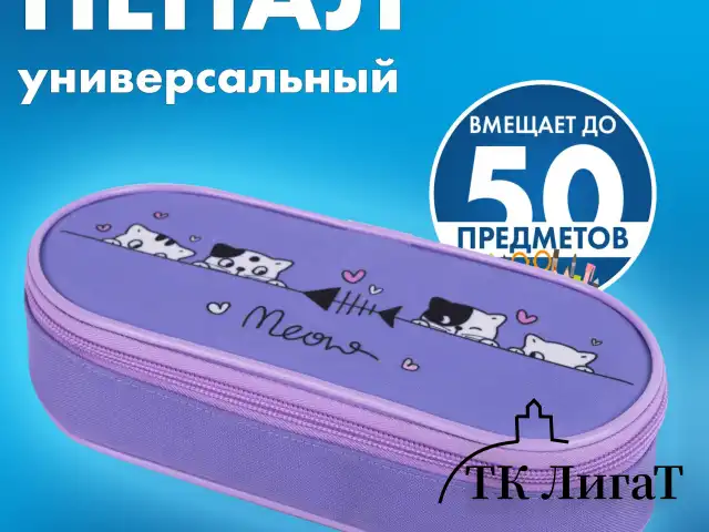 Пенал-футляр BRAUBERG, 1 отделение, органайзер, полиэстер, 22x9х5 см, "Meow", 272312