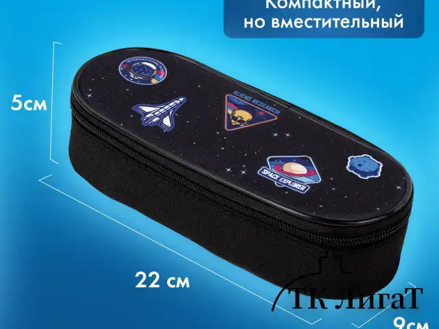 Пенал-футляр BRAUBERG, 1 отделение, органайзер, полиэстер, 22x9х5 см, "Open space", 272313