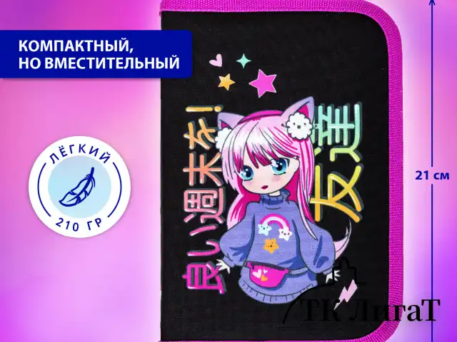 Пенал BRAUBERG, 1 отделение, 1 откидная планка, полиэстер, 21х14 см, "Anime girl", 272323