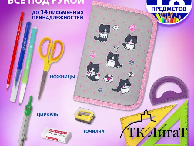 Пенал BRAUBERG, 1 отделение, полиэстер, 21х14 см, "Cat patches", 272327