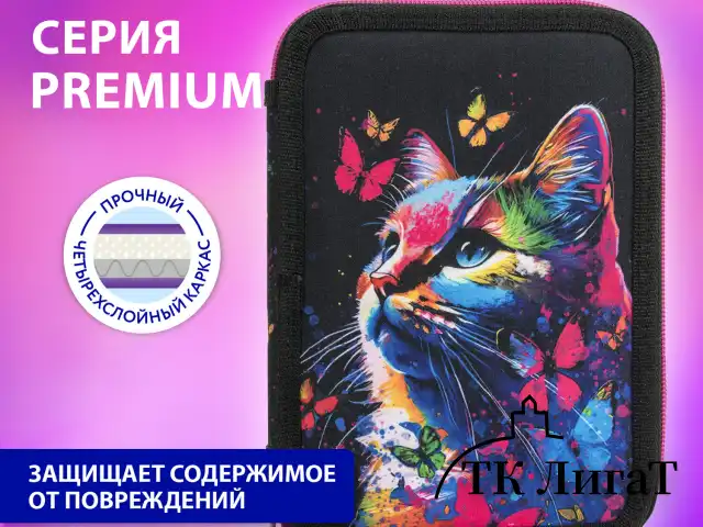 Пенал BRAUBERG, 2 отделения, полиэстер, 21х14 см, "Butterfly catcher", 272330