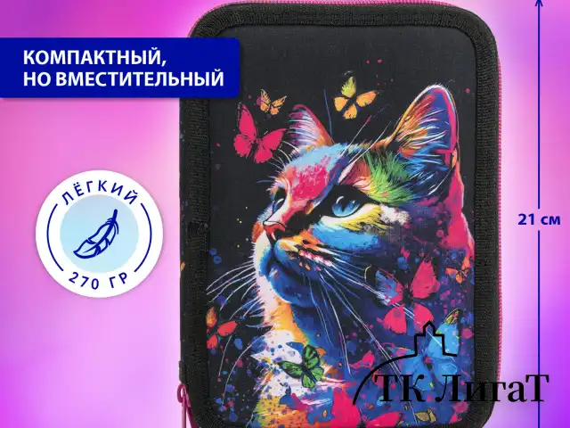 Пенал BRAUBERG, 2 отделения, полиэстер, 21х14 см, "Butterfly catcher", 272330