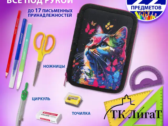Пенал BRAUBERG, 2 отделения, полиэстер, 21х14 см, "Butterfly catcher", 272330