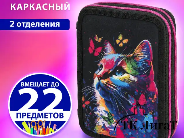 Пенал BRAUBERG, 2 отделения, полиэстер, 21х14 см, "Butterfly catcher", 272330