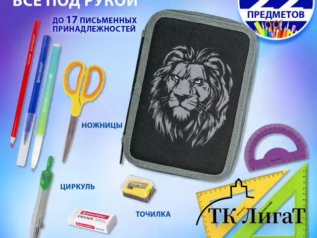 Пенал BRAUBERG, 2 отделения, полиэстер, 21х14 см, "Savage lion", 272331