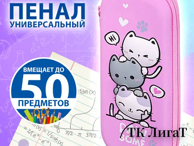 Пенал BRAUBERG, 1 отделение, 1 откидная планка, EVA, 22х10х5 см, "Cat tower", 272334