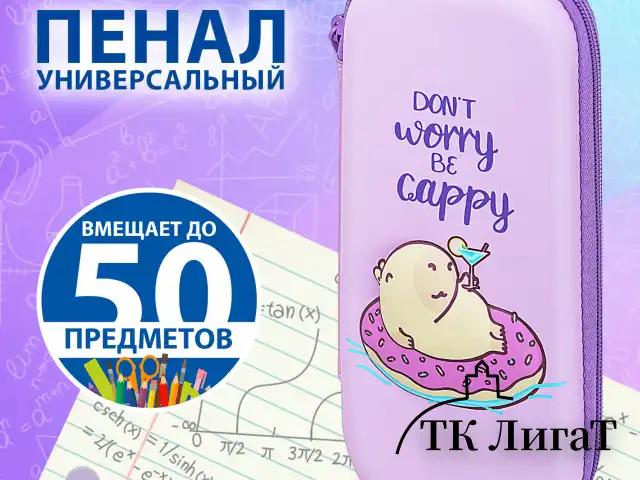 Пенал BRAUBERG, 1 отделение, 1 откидная планка, EVA, 22х10х5 см, "Capybara", 272335
