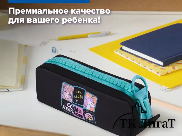 Пенал BRAUBERG с объемной "тракторной" молнией, 1 отделение, ткань, 22х8х6,5 см, "Cool anime", 272342