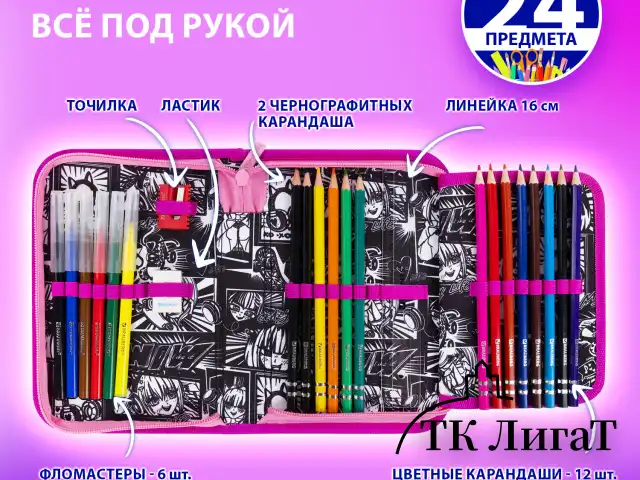 Пенал BRAUBERG с наполнением, 1 отделение, 1 откидная планка, 24 предмета, 21х14 см, "Anime movie", 272349