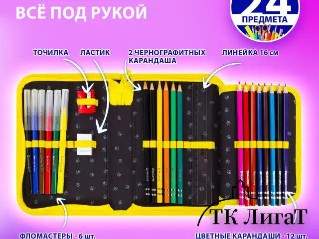 Пенал BRAUBERG с наполнением, 1 отделение, 1 откидная планка, 24 предмета, 21х14 см, "Dark cat", 272351