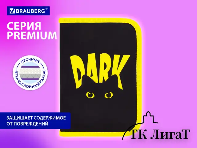 Пенал BRAUBERG с наполнением, 1 отделение, 1 откидная планка, 24 предмета, 21х14 см, "Dark cat", 272351