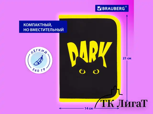 Пенал BRAUBERG с наполнением, 1 отделение, 1 откидная планка, 24 предмета, 21х14 см, "Dark cat", 272351