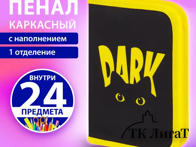 Пенал BRAUBERG с наполнением, 1 отделение, 1 откидная планка, 24 предмета, 21х14 см, "Dark cat", 272351