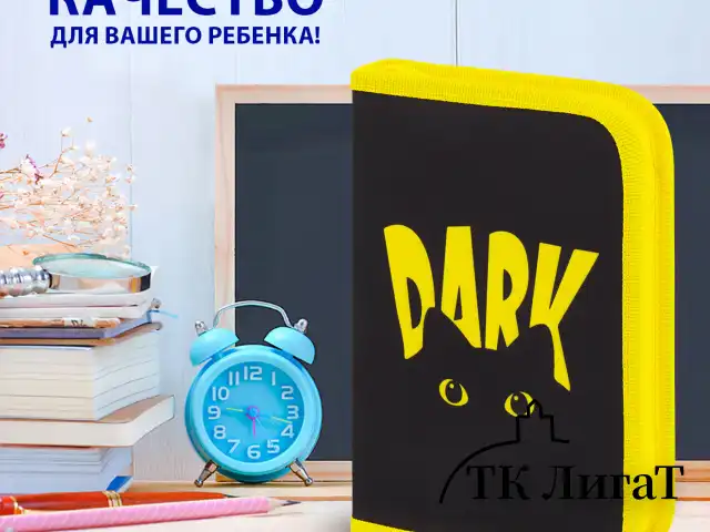 Пенал BRAUBERG с наполнением, 1 отделение, 1 откидная планка, 24 предмета, 21х14 см, "Dark cat", 272351