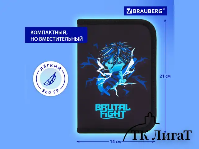 Пенал BRAUBERG с наполнением, 1 отделение, 1 откидная планка, 24 предмета, 21х14 см, "Anime fight", 272354