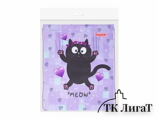 Мешок для обуви ПИФАГОР, 1 отделение, 42х34 см, "Falling cat", 272383