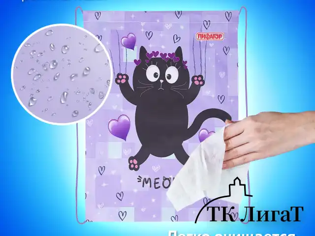 Мешок для обуви ПИФАГОР, 1 отделение, 42х34 см, "Falling cat", 272383