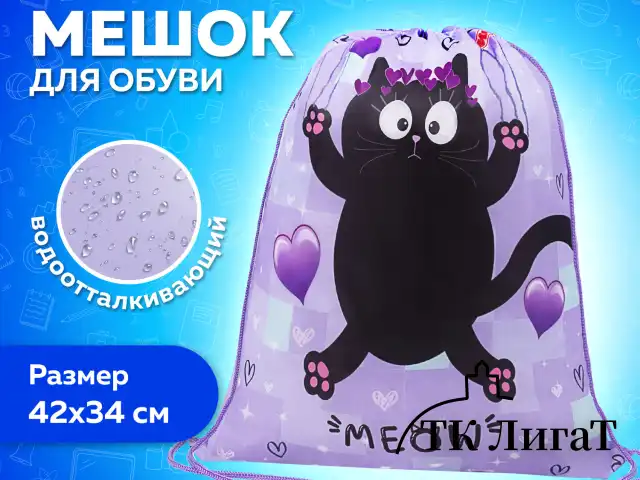 Мешок для обуви ПИФАГОР, 1 отделение, 42х34 см, "Falling cat", 272383