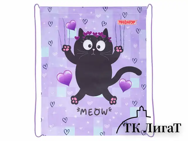 Мешок для обуви ПИФАГОР, 1 отделение, 42х34 см, "Falling cat", 272383