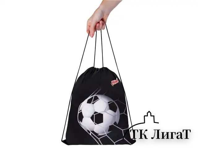 Мешок для обуви ПИФАГОР, 1 отделение, 42х34 см, "Ball kick", 272386